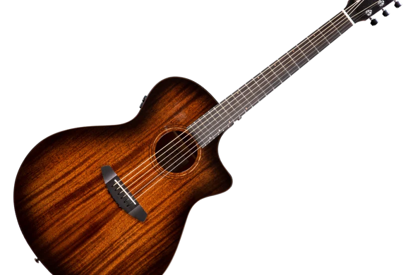 Breedlove Guitars, renowned for exceptional craftsmanship and innovative designs, are a standout choice for musicians worldwide