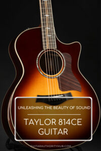 taylor 814ce